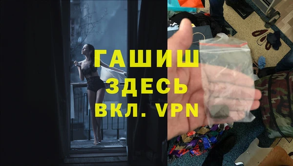 индика Богданович