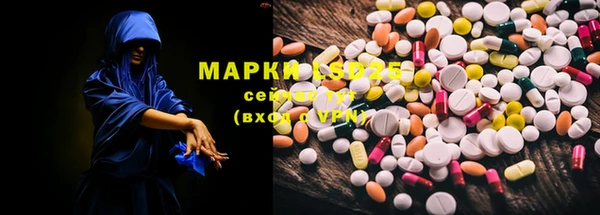 индика Богданович