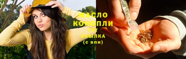 индика Богданович