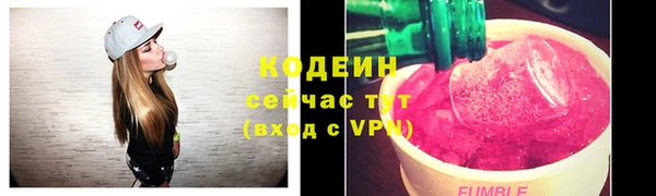 индика Богданович