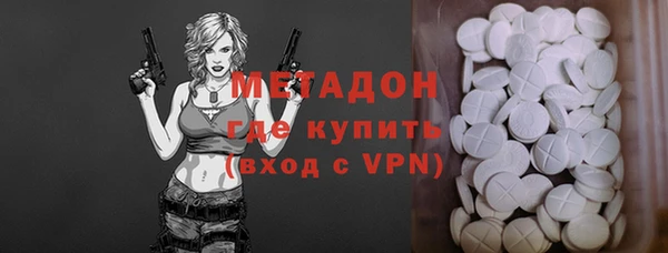 индика Богданович