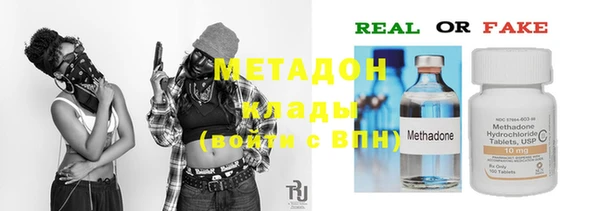индика Богданович