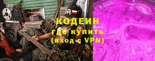 индика Богданович