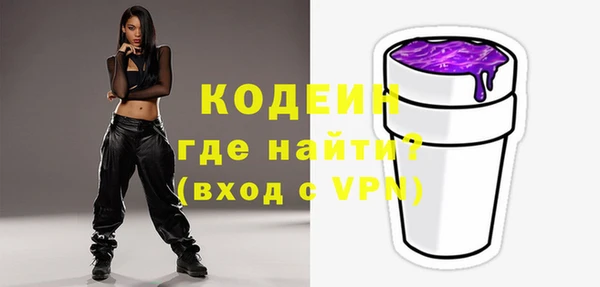 индика Богданович