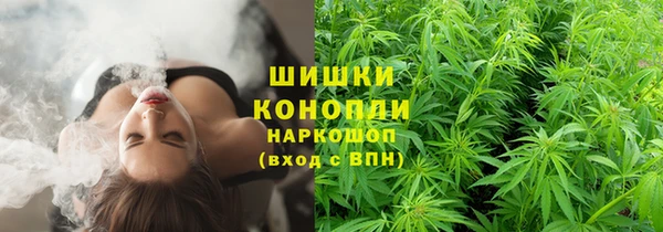 индика Богданович