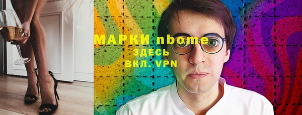 индика Богданович