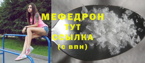 индика Богданович