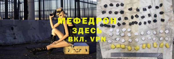 индика Богданович
