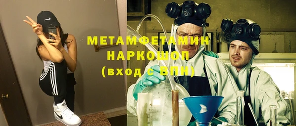 индика Богданович
